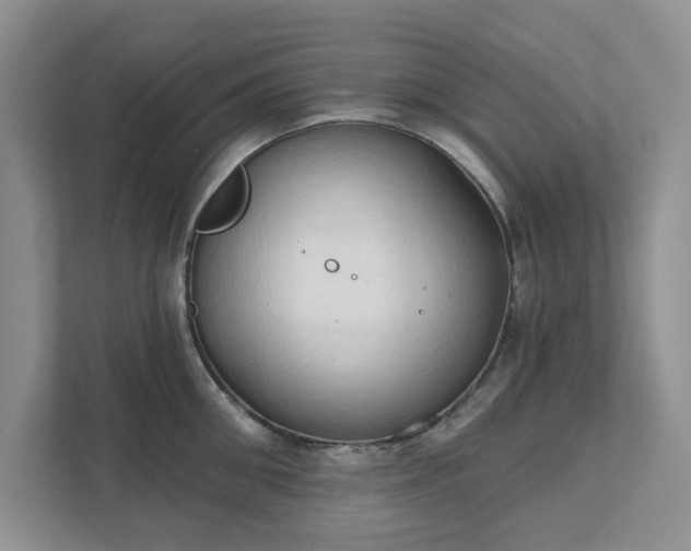 X0000111520906200907211221