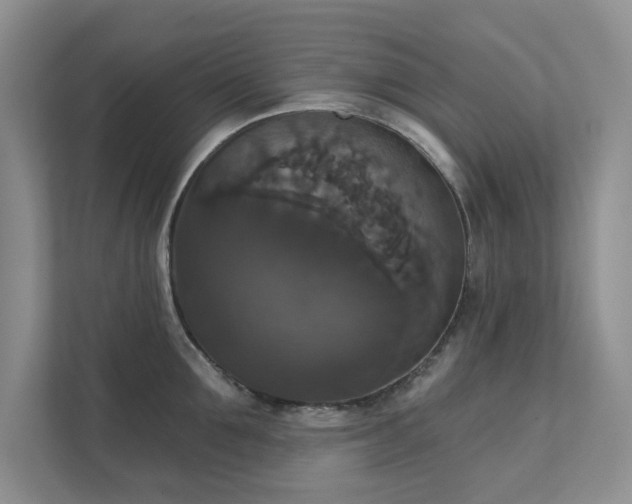X0000111520907200907211221