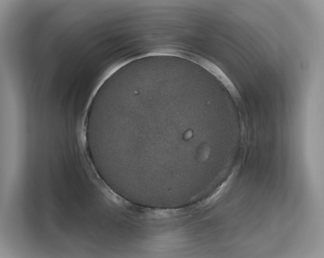 X0000111520908200907211221
