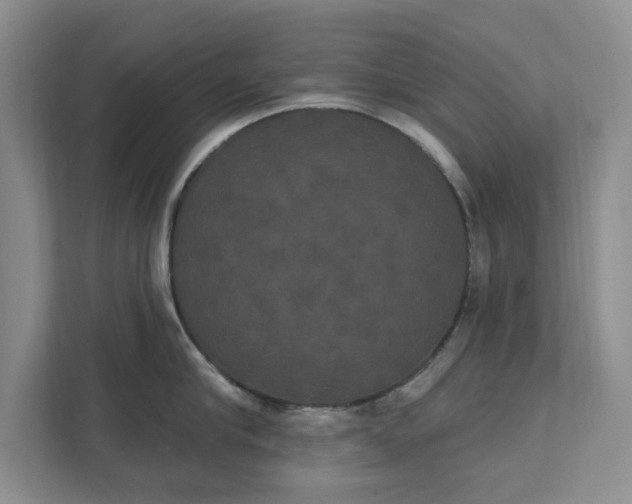 X0000111520910200907211221