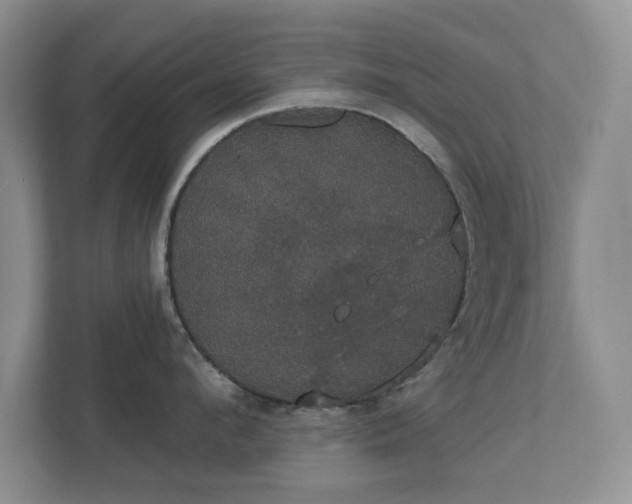 X0000111520912200907211221