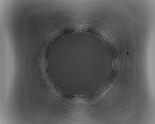 X0000111520913200907211221