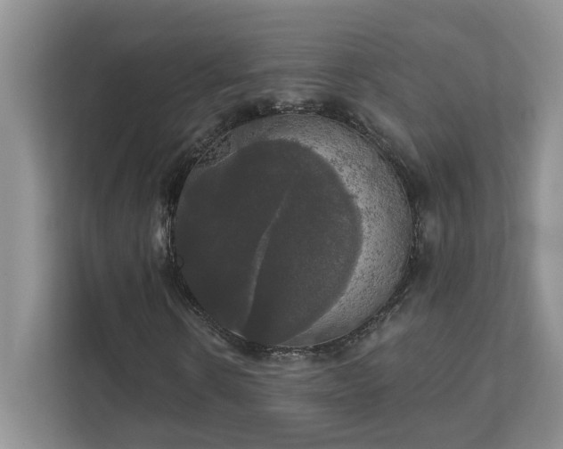 X0000111520914200907211221