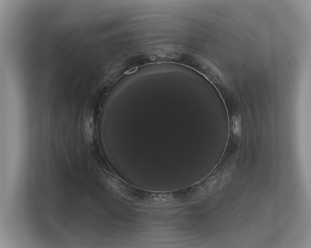 X0000111520915200907211221