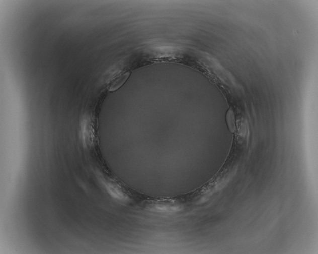 X0000111520916200907211221