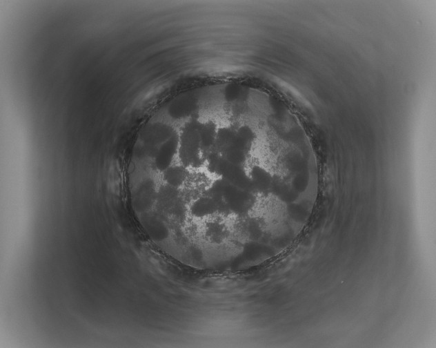 X0000111520917200907211221