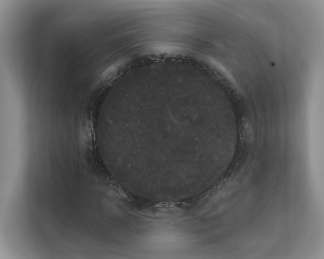 X0000111520918200907211221