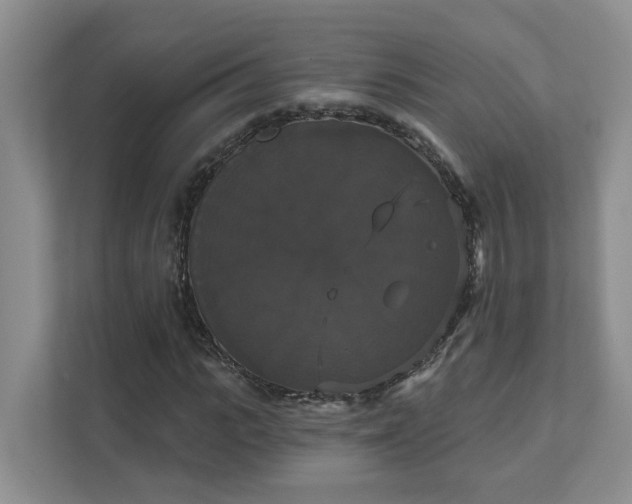 X0000111520919200907211221