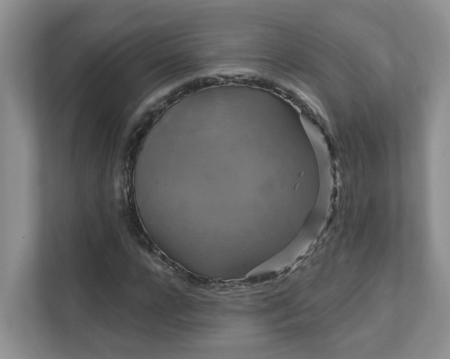 X0000111520920200907211221