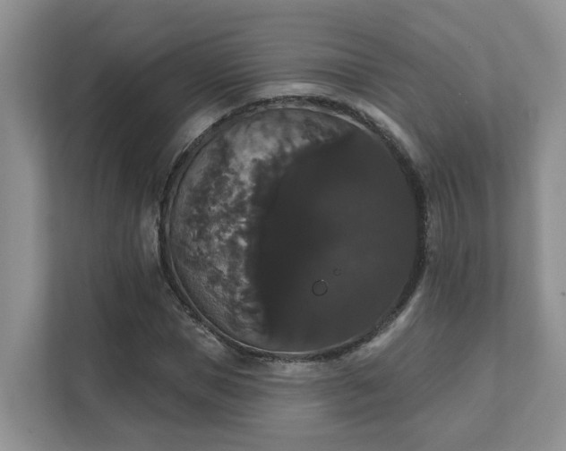 X0000111520921200907211221