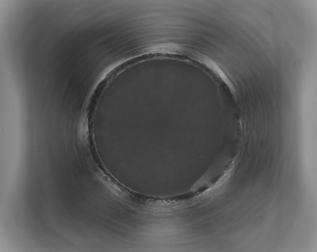 X0000111520923200907211221