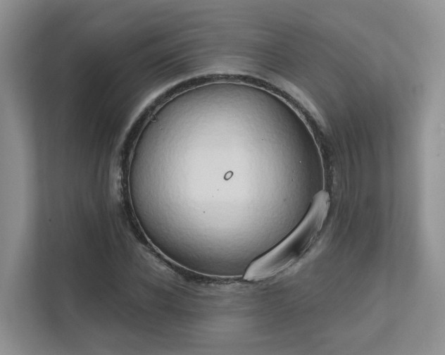 X0000111520926200907211221