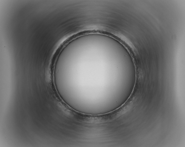 X0000111520927200907211221