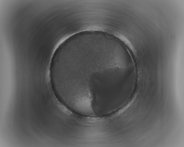 X0000111520928200907211221