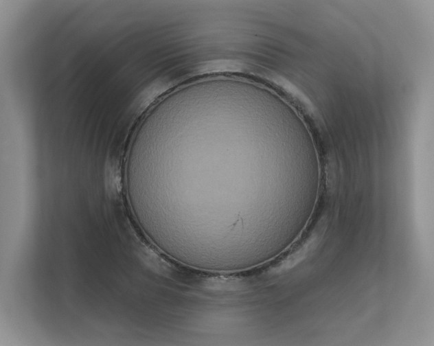 X0000111520929200907211221