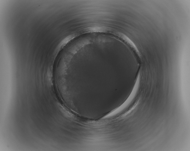 X0000111520930200907211221