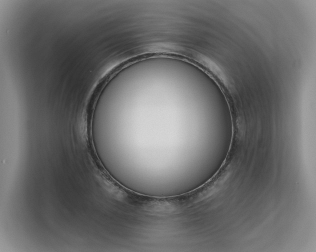 X0000111520931200907211221
