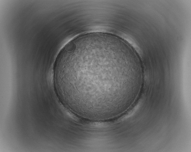 X0000111520933200907211221