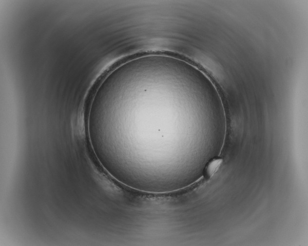 X0000111520934200907211221