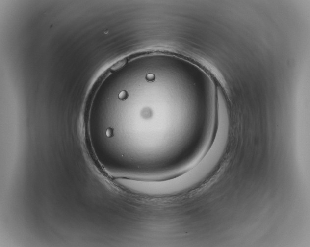X0000111520936200907211221