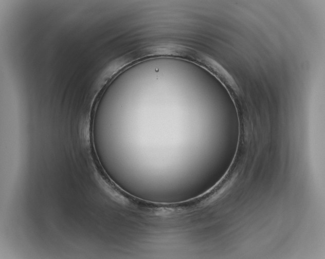 X0000111520938200907211221