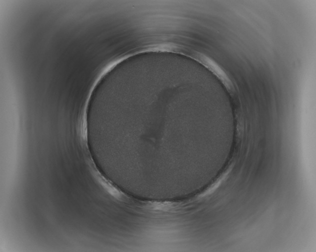 X0000111520940200907211221