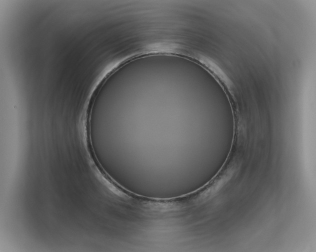 X0000111520941200907211221