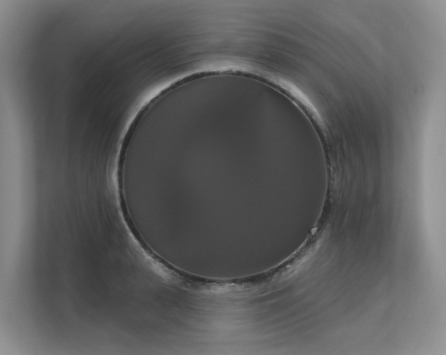 X0000111520943200907211221
