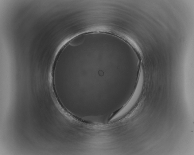 X0000111520944200907211221