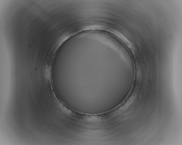 X0000111520945200907211221