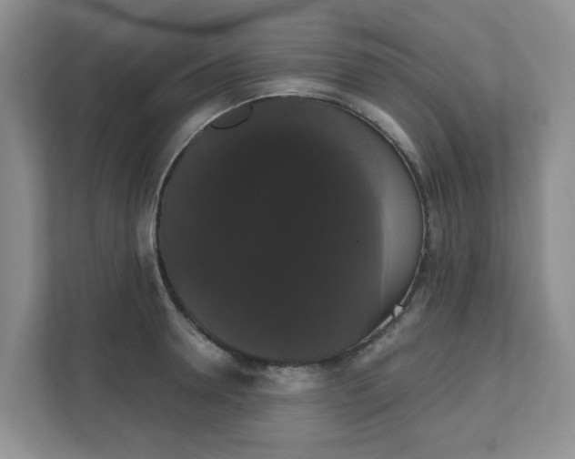 X0000111520946200907211221