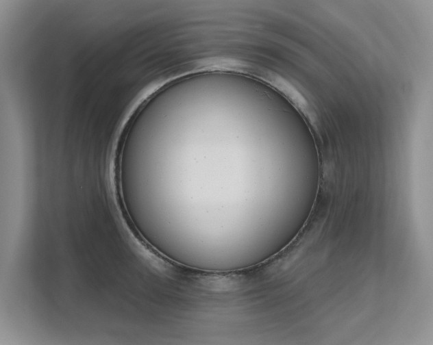 X0000111520947200907211221