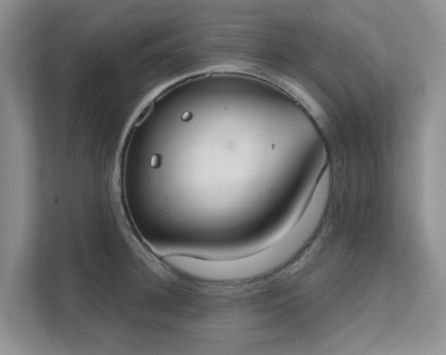 X0000111520948200907211221