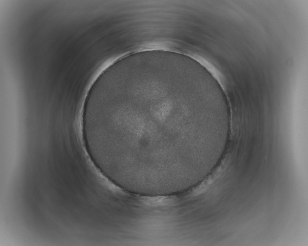 X0000111520949200907211221