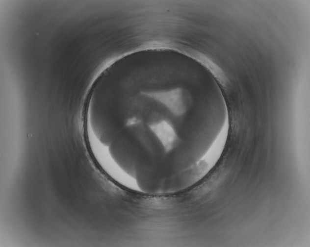X0000111520950200907211221