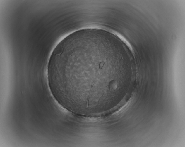 X0000111520951200907211221