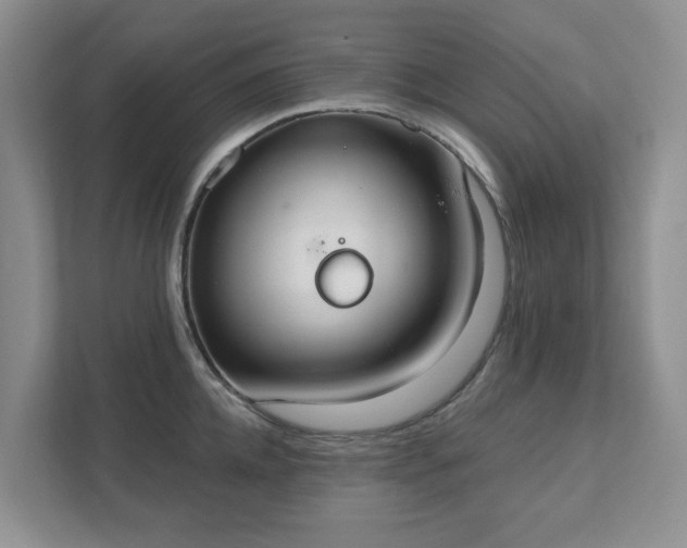 X0000111520952200907211221