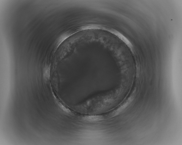 X0000111520953200907211221