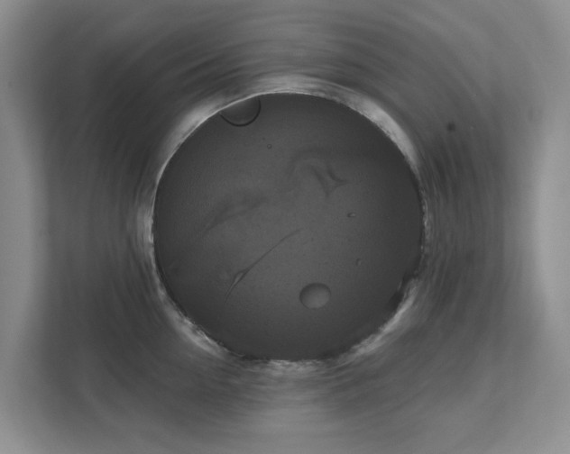 X0000111520954200907211221