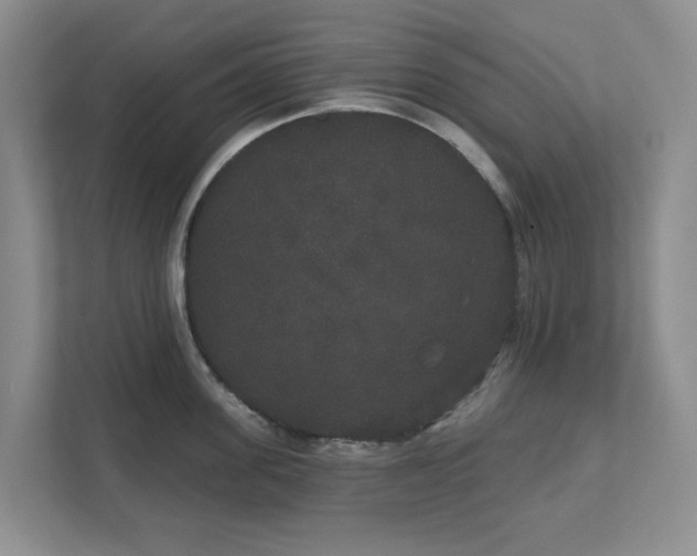 X0000111520955200907211221