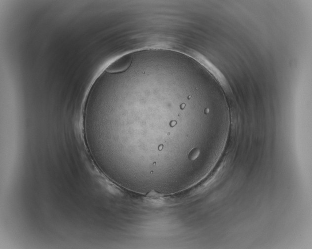 X0000111520956200907211221