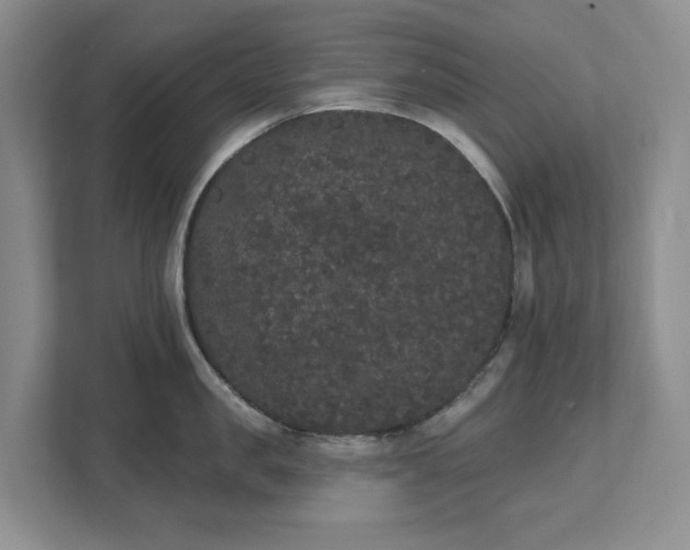 X0000111520957200907211221