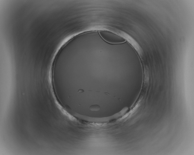 X0000111520958200907211221