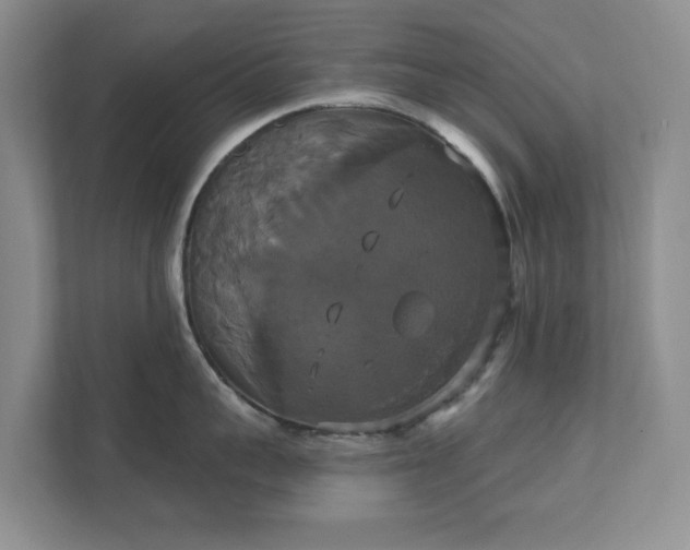 X0000111520959200907211221