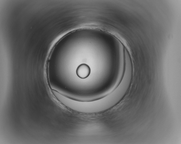 X0000111520960200907211221