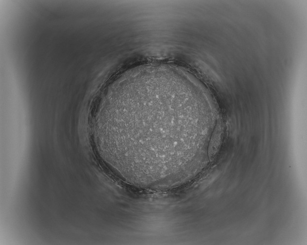 X0000111520961200907211221