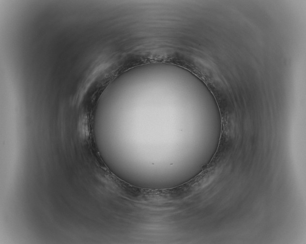 X0000111520962200907211221