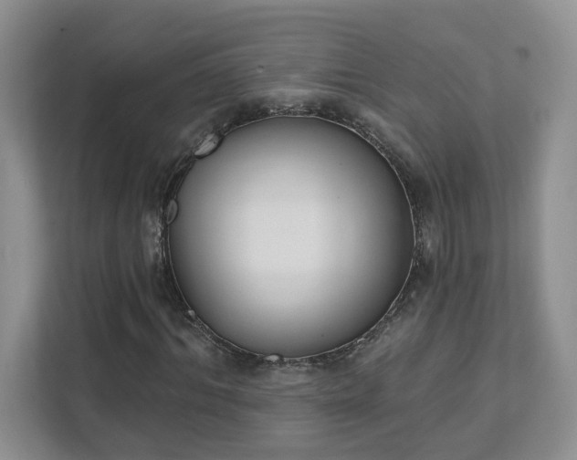 X0000111520964200907211221