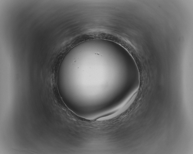 X0000111520965200907211221