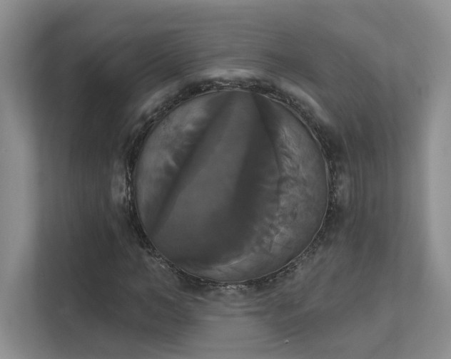 X0000111520966200907211221